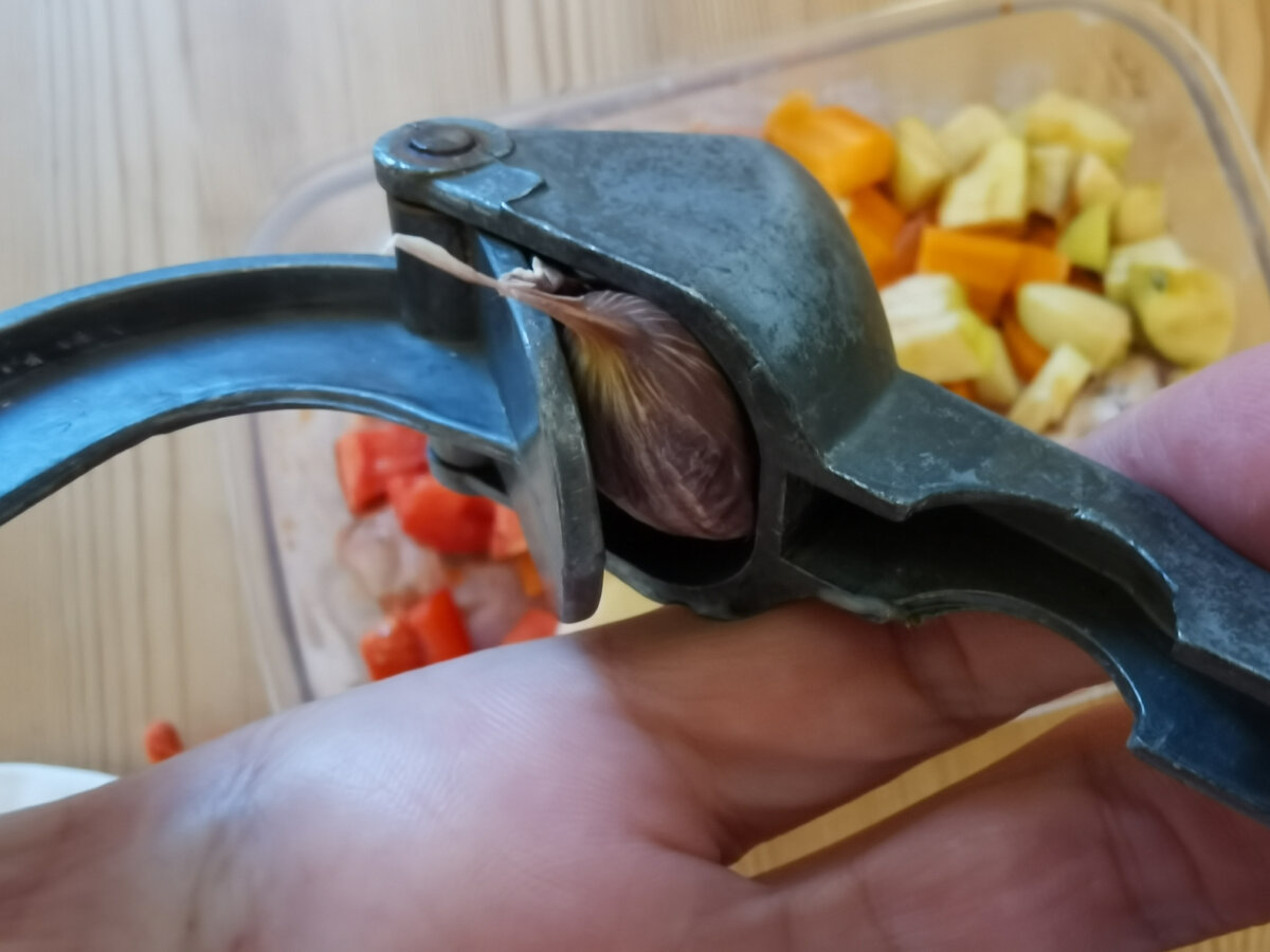 Чеснок в мисках