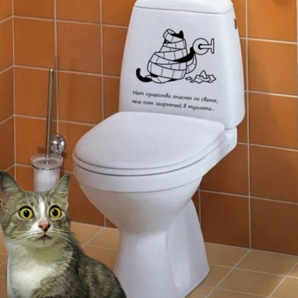 Смываемый кошачий унитаз